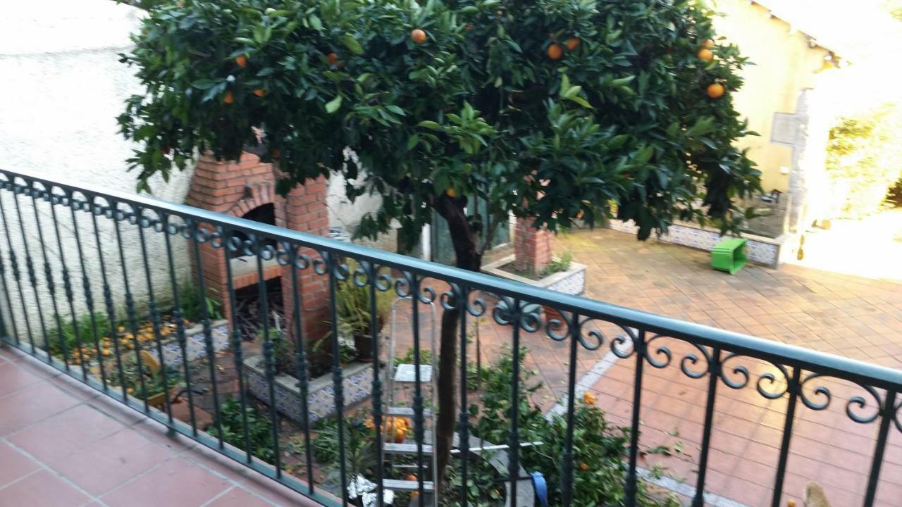 Апартаменти Nossa Casa Na Aldeia Візеу Екстер'єр фото